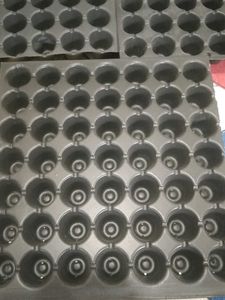 Seedling Trays - Pack of 3