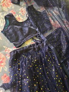 Navy Blue Sequin Lehenga Choli