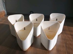 Wall Planters (Set of 5)