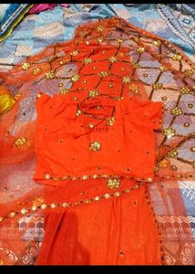 Elegant Orange Sequined Saree
