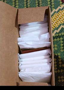 99 Panty Liner