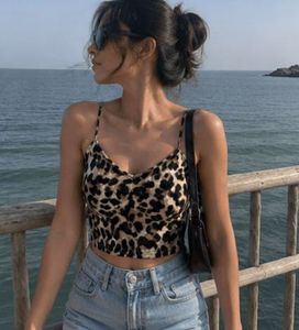 Leopard Print Crop Cami Top