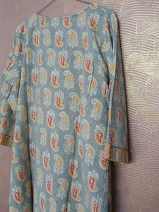silver grey Paisley Print Kurta