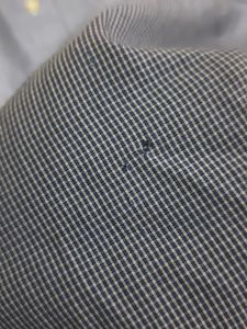 (Aigner ) BRANDED Men's Formal