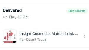 INSIGHT Matte Lip Ink - Shade 06(Desert taupe)