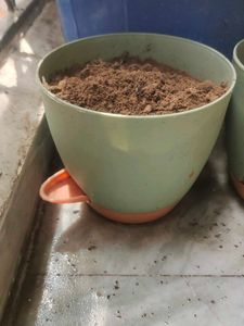 Sage Green Planter Pot with Drainage Tray