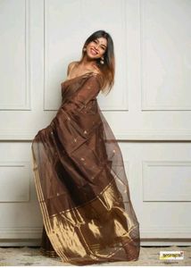 Elegant Brown Saree with Gold Border