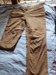 Brown Casual Pants
