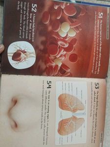 500 Facts Science Book