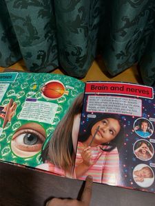 Amazing Body 3D Sticker Fun Book