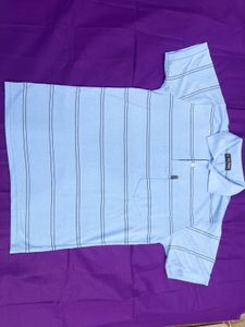 Light Blue Striped Polo Shirt