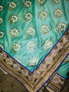 Exquisite Embellished Saree