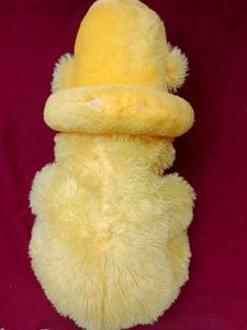 Cute Yellow Teddy Bear