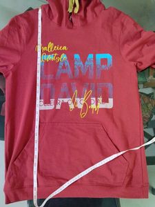 Red/ rust Graphic Hoodie
