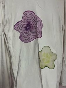 Savana Long sleeves graphic tee
