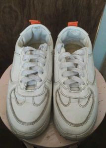 Casual Shoes