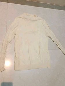 Cream Sweater with Dragonfly Print