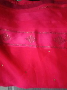 Elegant Red Saree with Embellishments