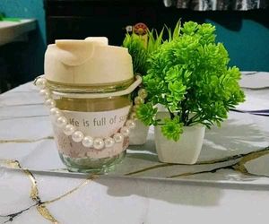 Aesthetic Glass Tumbler