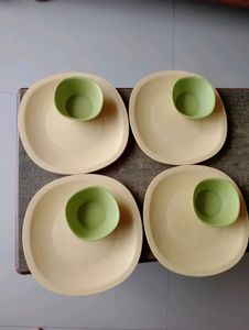 Tupperware Dinner Set