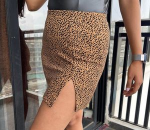 Animal Print Mini Skirt