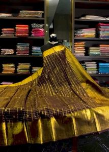 Elegant Brown Saree with Gold Border