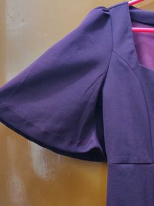 Chic Plum Fit &amp; Flare Dress