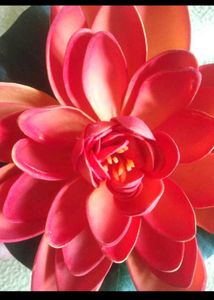 Beautiful Red Flower Hair Clip