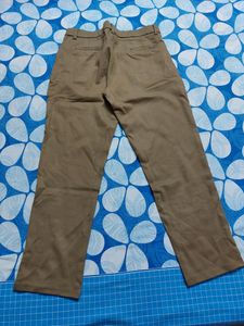 Skinny Brown Ankle Length Trousers