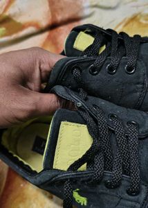 Stylish Black &amp; Neon Polo Sneakers