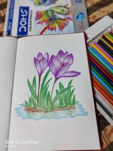 Floral Sketch (Drawing/Painting)