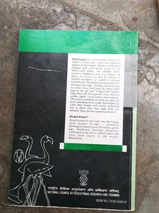 Flamingo Textbook for Class XII
