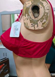 Lace Trimmed Full Coverage Bra