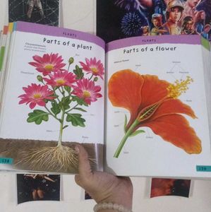 Junior Picture Dictionary