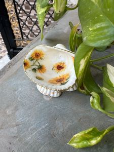 original Seashell jewellery Dish