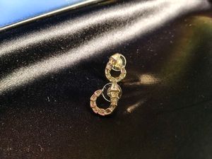 Stylish Snake Design Earrings