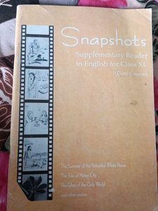 Fictional story book