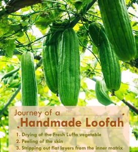 Nat Habit (Natural Sun-dried Loofah Body Sponge)