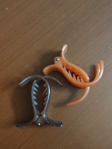 Set of 2 Hair Claw Clips