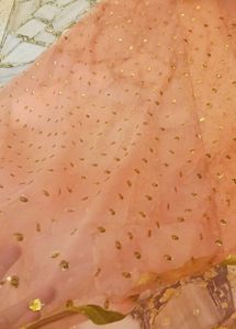 Peach Dupatta with Gold Embellishments