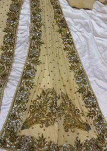 Embellished Cream Saree  with blouse