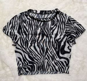 Zebra Print Mesh Crop Top