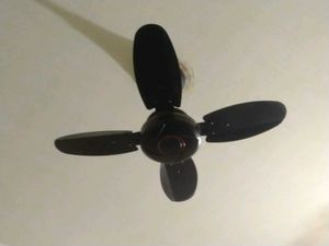 FORTUNER Ceiling Fan