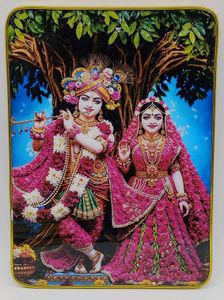 Golden Framed Wall Decor 2pc