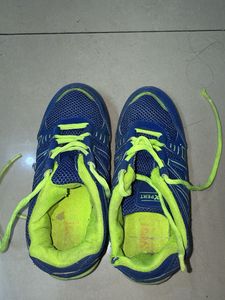 Unisex Blue Sports shoe
