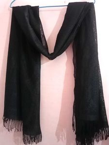 Black Netted Dupatta