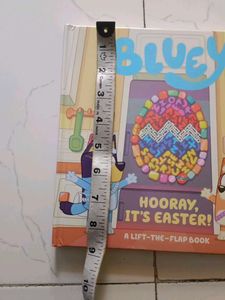 Children's book - Bluey