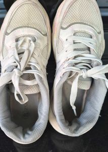 White zudio Sneakers