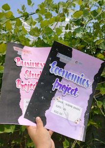 Economics & Business Project Files