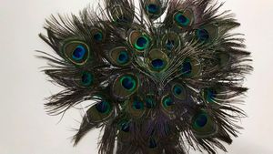 Wall Decorating Peace With Peacock Feather